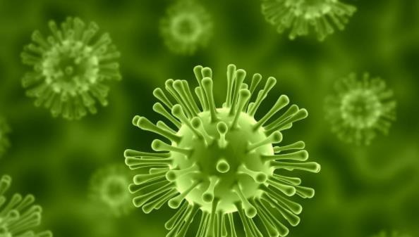 活性污泥中包含哪些微生物？-樂中環(huán)保