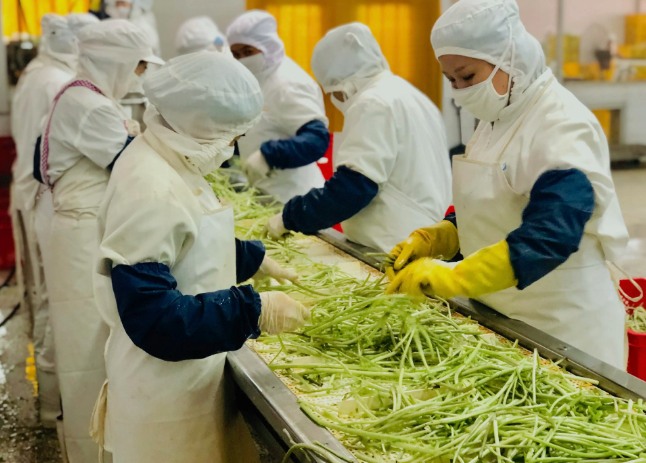 三種食品污水處理設(shè)備工藝流程，看看哪種適合您？