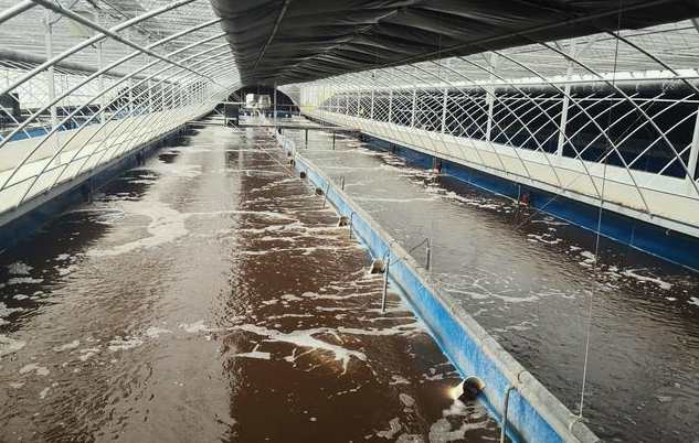 畜禽污水處理的方法、步驟（主流畜禽污水處理工藝有哪些）